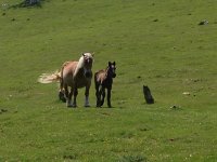 6 - 13 June  2017 Basque Country